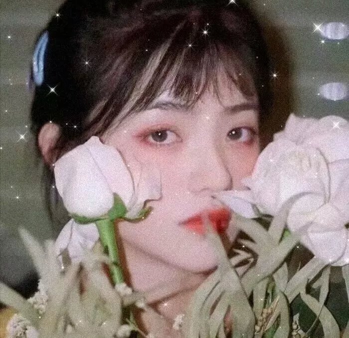 拥抱星星的月亮