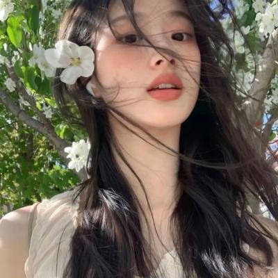 苏菲的世界